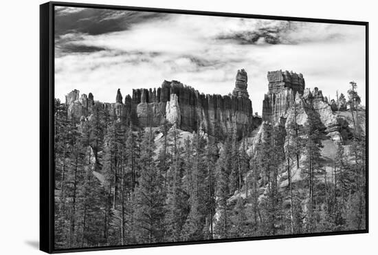 Bryce Amphitheater - Utah - Bryce Canyon National Park - United States-Philippe Hugonnard-Framed Stretched Canvas
