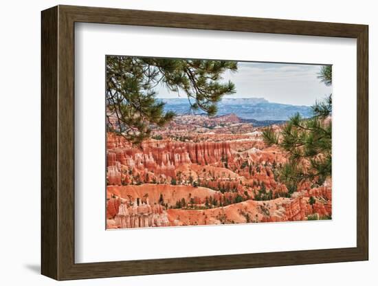 Bryce Amphitheater - Utah - Bryce Canyon National Park - United States-Philippe Hugonnard-Framed Photographic Print