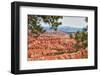 Bryce Amphitheater - Utah - Bryce Canyon National Park - United States-Philippe Hugonnard-Framed Photographic Print