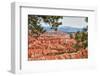 Bryce Amphitheater - Utah - Bryce Canyon National Park - United States-Philippe Hugonnard-Framed Photographic Print