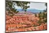 Bryce Amphitheater - Utah - Bryce Canyon National Park - United States-Philippe Hugonnard-Mounted Photographic Print