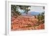 Bryce Amphitheater - Utah - Bryce Canyon National Park - United States-Philippe Hugonnard-Framed Photographic Print