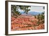 Bryce Amphitheater - Utah - Bryce Canyon National Park - United States-Philippe Hugonnard-Framed Photographic Print