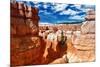 Bryce Amphitheater - Utah - Bryce Canyon National Park - United States-Philippe Hugonnard-Mounted Photographic Print