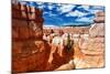 Bryce Amphitheater - Utah - Bryce Canyon National Park - United States-Philippe Hugonnard-Mounted Photographic Print