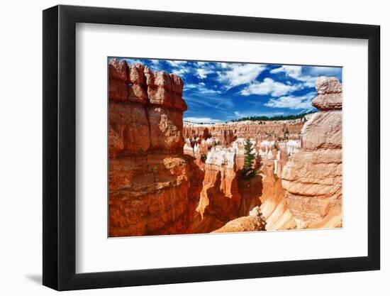 Bryce Amphitheater - Utah - Bryce Canyon National Park - United States-Philippe Hugonnard-Framed Photographic Print