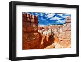 Bryce Amphitheater - Utah - Bryce Canyon National Park - United States-Philippe Hugonnard-Framed Photographic Print