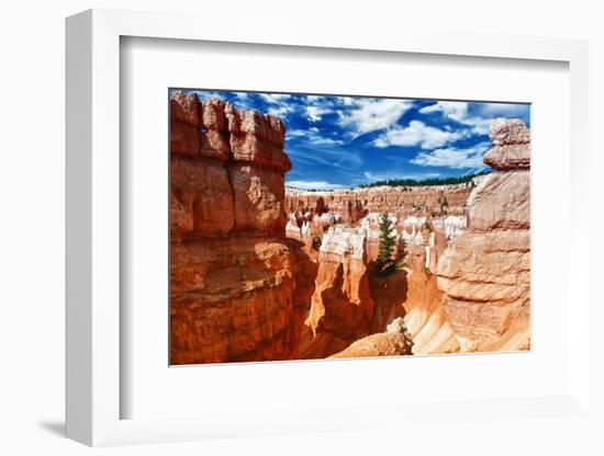 Bryce Amphitheater - Utah - Bryce Canyon National Park - United States-Philippe Hugonnard-Framed Photographic Print