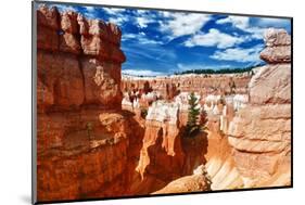 Bryce Amphitheater - Utah - Bryce Canyon National Park - United States-Philippe Hugonnard-Mounted Photographic Print