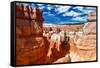 Bryce Amphitheater - Utah - Bryce Canyon National Park - United States-Philippe Hugonnard-Framed Stretched Canvas