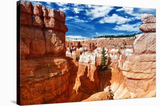 Bryce Amphitheater - Utah - Bryce Canyon National Park - United States-Philippe Hugonnard-Stretched Canvas