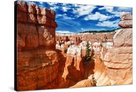 Bryce Amphitheater - Utah - Bryce Canyon National Park - United States-Philippe Hugonnard-Stretched Canvas