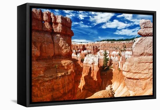 Bryce Amphitheater - Utah - Bryce Canyon National Park - United States-Philippe Hugonnard-Framed Stretched Canvas