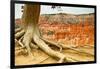 Bryce Amphitheater - Utah - Bryce Canyon National Park - United States-Philippe Hugonnard-Framed Photographic Print