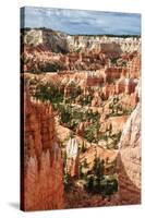 Bryce Amphitheater - Utah - Bryce Canyon National Park - United States-Philippe Hugonnard-Stretched Canvas