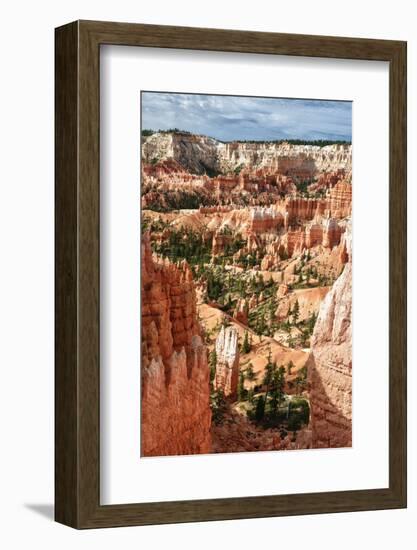 Bryce Amphitheater - Utah - Bryce Canyon National Park - United States-Philippe Hugonnard-Framed Photographic Print