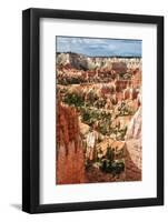 Bryce Amphitheater - Utah - Bryce Canyon National Park - United States-Philippe Hugonnard-Framed Photographic Print