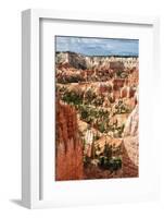 Bryce Amphitheater - Utah - Bryce Canyon National Park - United States-Philippe Hugonnard-Framed Photographic Print