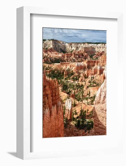 Bryce Amphitheater - Utah - Bryce Canyon National Park - United States-Philippe Hugonnard-Framed Photographic Print