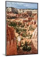 Bryce Amphitheater - Utah - Bryce Canyon National Park - United States-Philippe Hugonnard-Mounted Photographic Print