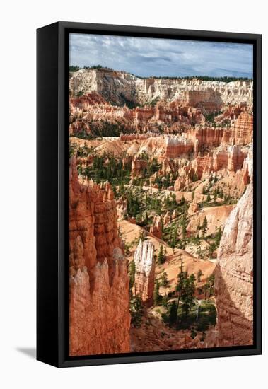 Bryce Amphitheater - Utah - Bryce Canyon National Park - United States-Philippe Hugonnard-Framed Stretched Canvas