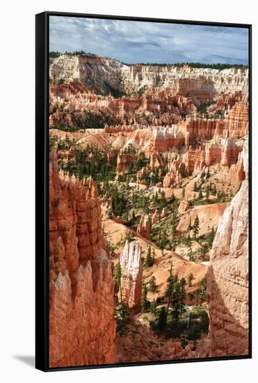 Bryce Amphitheater - Utah - Bryce Canyon National Park - United States-Philippe Hugonnard-Framed Stretched Canvas