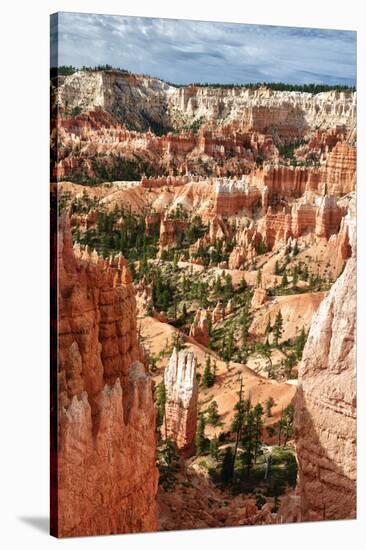 Bryce Amphitheater - Utah - Bryce Canyon National Park - United States-Philippe Hugonnard-Stretched Canvas