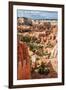 Bryce Amphitheater - Utah - Bryce Canyon National Park - United States-Philippe Hugonnard-Framed Photographic Print