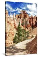 Bryce Amphitheater - Utah - Bryce Canyon National Park - United States-Philippe Hugonnard-Stretched Canvas