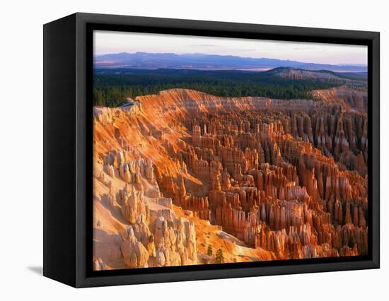 Bryce Amphitheater-Bill Ross-Framed Stretched Canvas