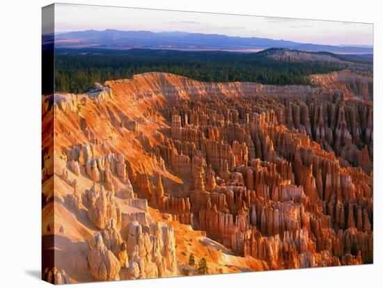 Bryce Amphitheater-Bill Ross-Stretched Canvas