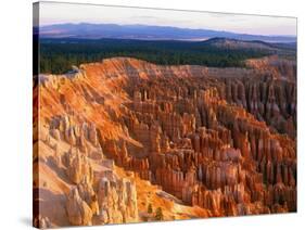 Bryce Amphitheater-Bill Ross-Stretched Canvas
