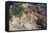 Bryce Canyon 03-Gordon Semmens-Framed Stretched Canvas