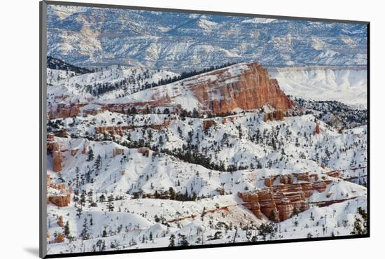 Bryce Canyon Amphitheater, Bryce Canyon NP in Snow, Utah-Howie Garber-Mounted Photographic Print