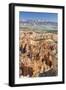 Bryce Canyon Amphitheater from Bryce Point-Michael Nolan-Framed Photographic Print