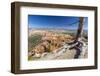 Bryce Canyon Amphitheater from Bryce Point-Michael Nolan-Framed Photographic Print