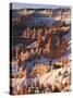 Bryce Canyon Amphitheater-James Randklev-Stretched Canvas