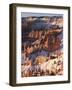 Bryce Canyon Amphitheater-James Randklev-Framed Photographic Print