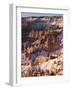 Bryce Canyon Amphitheater-James Randklev-Framed Photographic Print