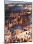 Bryce Canyon Amphitheater-James Randklev-Mounted Photographic Print