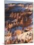 Bryce Canyon Amphitheater-James Randklev-Mounted Photographic Print