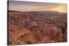 Bryce Canyon at Dawn-Gary Cook-Stretched Canvas