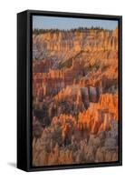 Bryce Canyon at Dawn-Gary Cook-Framed Stretched Canvas