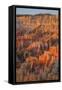 Bryce Canyon at Dawn-Gary Cook-Framed Stretched Canvas