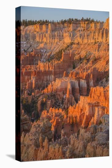 Bryce Canyon at Dawn-Gary Cook-Stretched Canvas