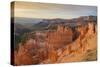 Bryce Canyon at Dawn-Gary Cook-Stretched Canvas