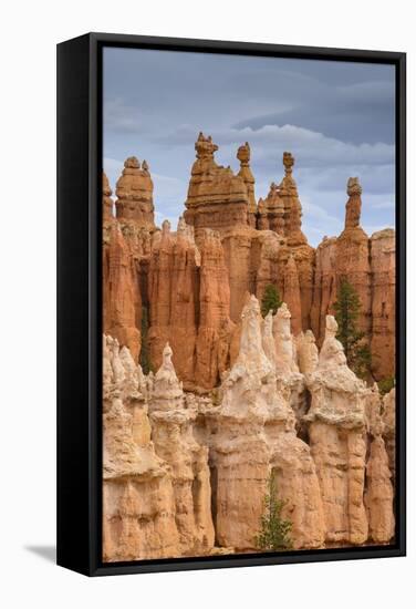 Bryce Canyon at Dawn-Gary Cook-Framed Stretched Canvas