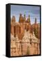 Bryce Canyon at Dawn-Gary Cook-Framed Stretched Canvas