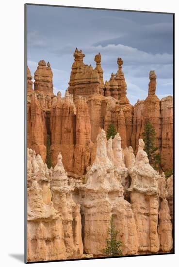 Bryce Canyon at Dawn-Gary Cook-Mounted Photographic Print