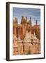 Bryce Canyon at Dawn-Gary Cook-Framed Photographic Print